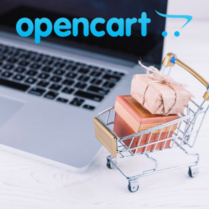 How to set up OpenCart