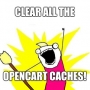 How to clear all caches in OpenCart 3.0.2.0