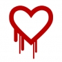 What is The Heartbleed Bug?