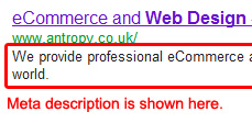 Meta Description on Google